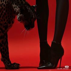 a woman's legs and foot in high heeled shoes with a leopard print on them