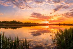 the sun is setting over a lake with tall grass