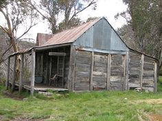 an old run down house in the middle of some grass with trees and bushes around it