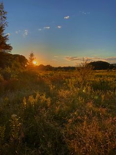 an evening on the marsh with forest surrounding. Late Summer Nights, Southern Maine, English Summer, Country Summer, British Summer, Pretty Landscapes, Sun Goes Down, Summer Sunset