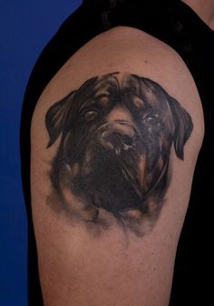 a black and grey dog tattoo on the right arm, shoulder or upper half of a man's left arm