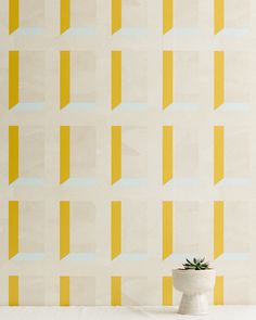 a potted plant sitting in front of a wall with yellow and blue squares on it