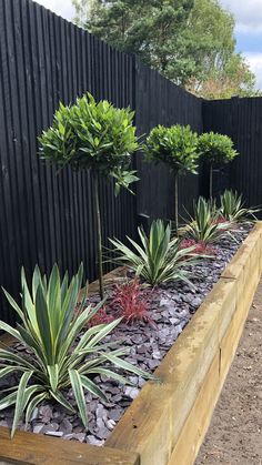 an outdoor garden with plants and rocks in the center, along side a black fence