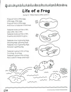 a page from the book life of a frog