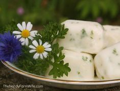 homemade doggie breath freshen treats on a plate with daisies and wildflowers