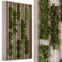 an image of a vertical garden wall