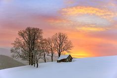 a small cabin in the middle of a snowy field with trees and mountains in the background