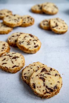 chocolate chip cookies on a baking sheet ready to be baked in the oven for consumption