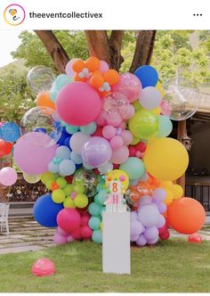 a bunch of balloons that are in the grass