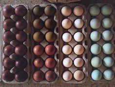 an assortment of eggs in cartons on the floor