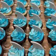 cupcakes with blue frosting and shark fin decorations