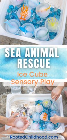 an ocean animal rescue ice cube sensory play for toddlers to learn how to use it