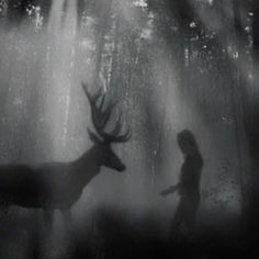 a person standing next to a deer in the woods with sunlight streaming through trees behind them