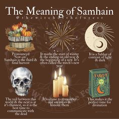 Aries Energy, My 40th Birthday, The Wheel Of The Year, Charmed Book Of Shadows, Moon Astrology, Traditional Witchcraft, Start Of Winter