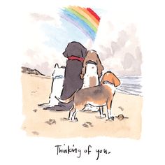 two dogs are on the beach with a rainbow in the sky above them and one dog is looking at something