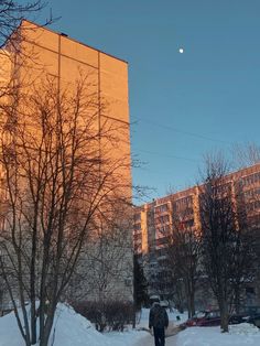 a man walking down a snow covered sidewalk in front of tall buildings and bare trees