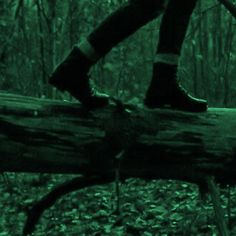 a person standing on a log in the woods