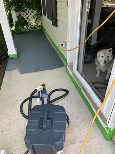 a dog is looking out the window at something in front of him that's attached to a hose