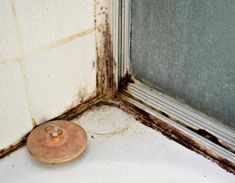 the corner of a room with moldy walls and a small round object on the floor