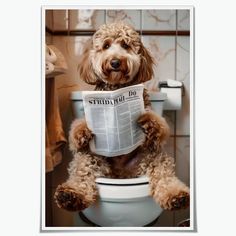 a dog that is sitting on top of a toilet reading a newspaper while looking at the camera