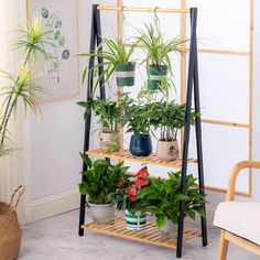 a shelf filled with potted plants next to a chair