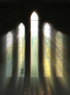 Church Windows Gothic Style Direct Sunlight For Photo Backdrop KAT-129 Window Photography, Church Aesthetic, Church Window, Foto Transfer, Muslin Backdrops, Church Windows, Hakone, Window Light, Custom Backdrop