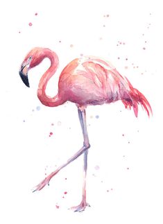 a pink flamingo standing in the water with it's legs spread wide open