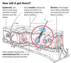 the diagram shows how to get rid from hair dyes and other things that can be done