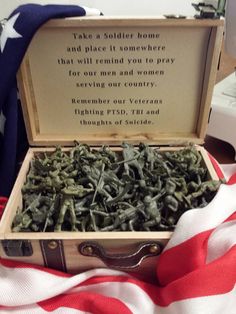 an open suitcase filled with green plants sitting on top of a flag draped table cloth