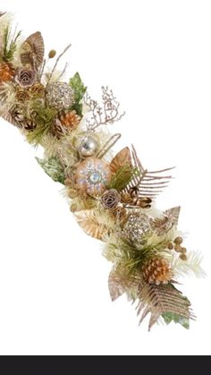 an arrangement of pine cones and feathers on a white background