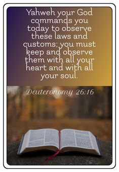 an open book sitting on top of a rock with the words, yahweh your god commands you today to observe those laws and customs