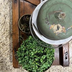 a potted plant sitting on top of a wooden table next to a metal pan