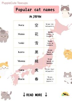 a poster with cats and other animals in different languages, including the words popular cat names in japan