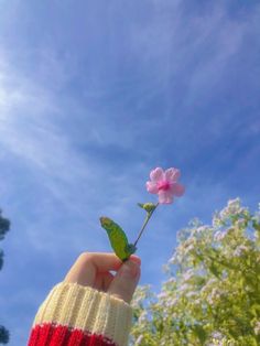 a person holding up a pink flower in the air with trees and sky behind them