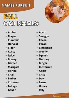 a cat names list with an image of a cat in the middle and below it