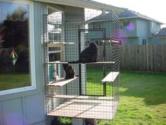 two cats are sitting in their cages on the outside of a house and one cat is looking out the window