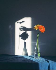 two vases with flowers on a table in front of the shadow of a person's hand