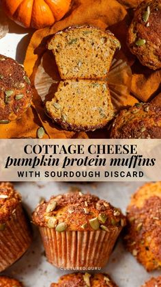 pumpkin muffins with sourdough disard on top and the words cottage cheese pumpkin protein muffins