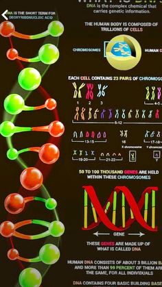 an info sheet with different types of cell phones and numbers on the front, which are labeled what is dna?