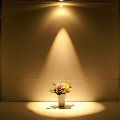 a vase with flowers is lit up by a light on the side of a wall