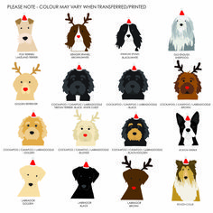 the different types of dogs that are in each color and size, with their names on them