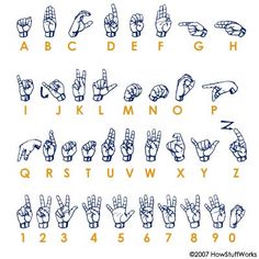 the alphabet with hand gestures and numbers