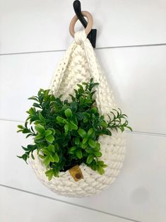 a crocheted hanging planter holds a potted green plant in the corner