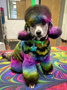 a dog that is sitting on the floor with its paws in the air and it's colorful fur