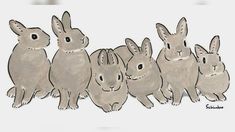 a group of rabbits standing next to each other