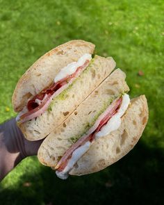 a hand holding a sandwich with meat and cheese on it in front of green grass