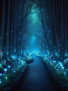 a path in the middle of a forest filled with lights