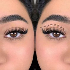 Lash Extentions Maps, Eyelash Extension Lengths, Lashes With Numbers, Lashes Extensions Numbers, Cat Eye Mapping Eyelash Extensions, Lashes Extensions Cat Eye, Eyelash Extensions Mapping Styles, Hybrid Doll Eye Lash Extensions, Lash Extensions Ideas