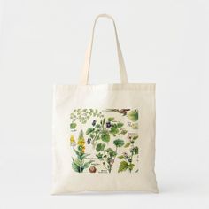 Botanical Illustrations - Larousse Plants calmantes,emollientes,pectorales. Please visit my store for more interesting design and more color choice. => zazzle.com/colorfulworld* Wildflower Illustration, Interesting Design, Botanical Illustrations, Botanical Illustration, Party Hats, Tote Bags, Reusable Tote Bags, Age Group, Cool Designs