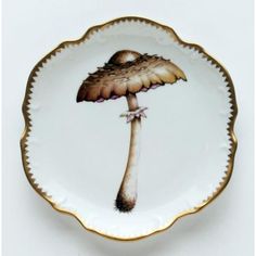 a white and gold plate with an image of a mushroom on it